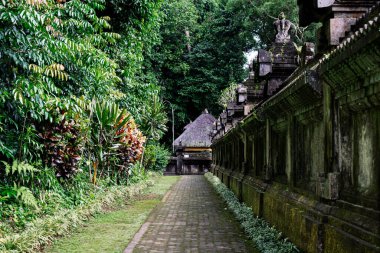 Bali, Endonezya 'da yosun kaplı bir Bali duvarı ile yoğun yeşil tropikal yapraklar arasındaki taş yolu. Arka planda geleneksel sazdan çatı yapısı görünür.
