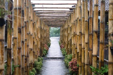 Bambu tünelinin altındaki simetrik bir patika ahşap ve yapraklardan oluşan bir koridor oluşturuyor. Islak asfalt yol, tropikal dokuları ve doğal yapıyı vurgulayarak ışığı yansıtır..