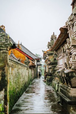 Geleneksel mimarisi ve yosun kaplı taş duvarları olan dar, ıslak bir Bali geçidi. Yer, köydeki bulutlu gökyüzünden gelen ışığı yansıtıyor..