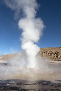 Geysers del Tatio, Şili Andes Atacama, Chile topraktan yükselen buhar
