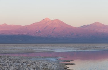 Atacama Salar, Şili 