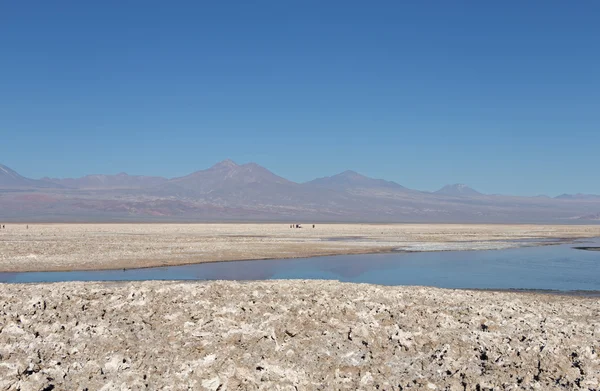 Atacama Salar, Şili — Stok fotoğraf