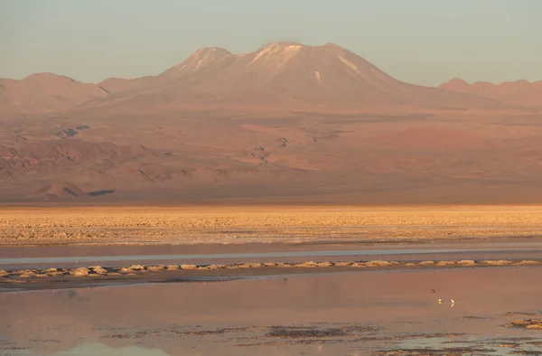 在阿塔卡马撒拉族，智利的日落 — 图库照片