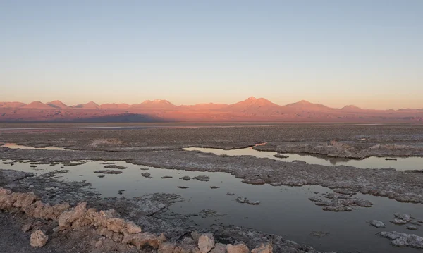 Atacama Salar, Şili 