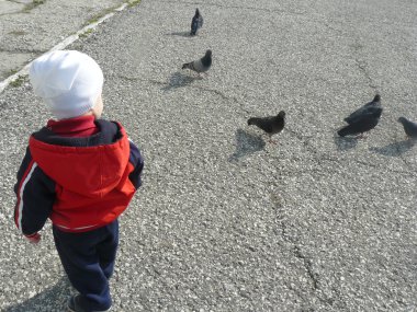 güvercinler ile çocuk