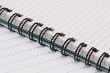 Bir kafeste bir bahar ile defter