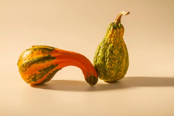Orangefarbene Kürbisse Auf Hellem Papierhintergrund Früchte Ausgefallener Geschwungener Form Dekorative — Stockfoto