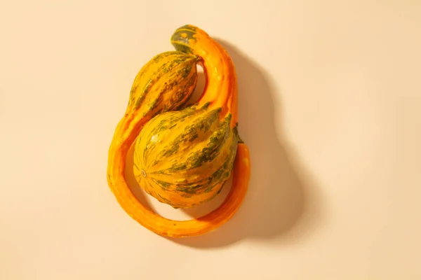 Citrouilles Orange Sur Fond Papier Clair Fruits Une Forme Courbée — Photo