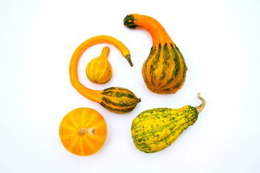 Çeşitli balkabakları, beyaz arka planda dekoratif küçük kıvrımlı sebzeler, parlak sarı meyveler, güzel sonbahar arka planı, Cadılar Bayramı tatili, boş alan..