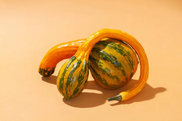 Orangefarbene Kürbisse Auf Hellem Papierhintergrund Früchte Ausgefallener Geschwungener Form Dekorative — Stockfoto