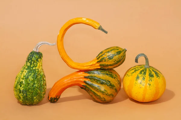 Calabazas Naranjas Sobre Fondo Papel Claro Frutas Una Forma Curva —  Fotos de Stock