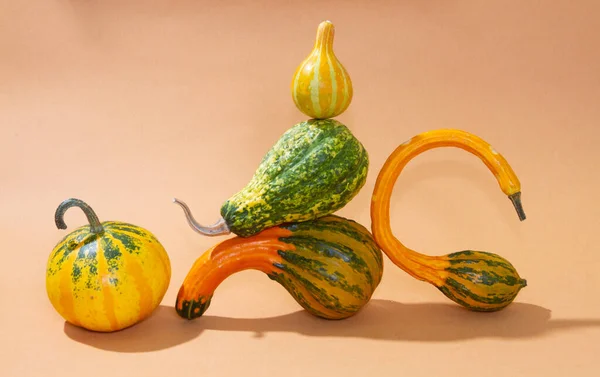 Orange Pumpkins Light Paper Background Fruits Fancy Curved Shape Decorative — Stock Photo, Image