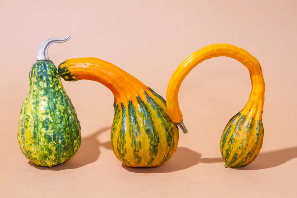 Calabazas Naranjas Sobre Fondo Papel Claro Frutas Una Forma Curva —  Fotos de Stock