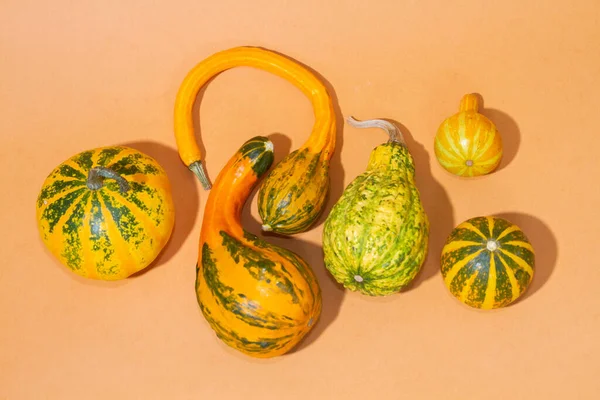 Orange Pumpkins Light Paper Background Fruits Fancy Curved Shape Decorative — Stock Photo, Image