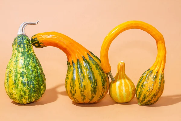 Calabazas Naranjas Sobre Fondo Papel Claro Frutas Una Forma Curva —  Fotos de Stock