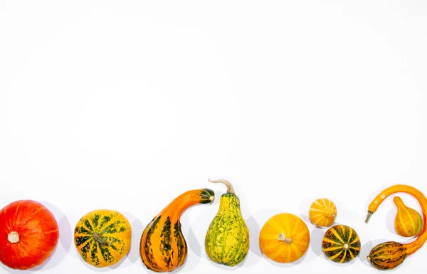 Verschiedene Kürbisse Dekoratives Kleines Gebogenes Gemüse Auf Weißem Hintergrund Leuchtend — Stockfoto