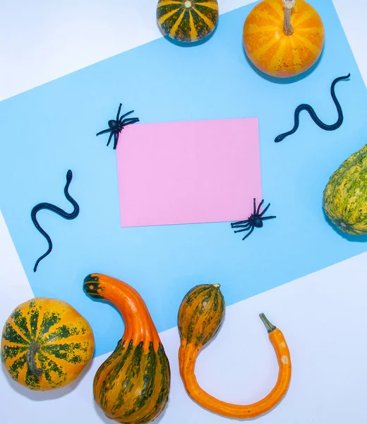 Vlak Gelegd Gekleurd Papier Gebogen Peervormige Pompoenen Slangen Spinnen Geometrische — Stockfoto
