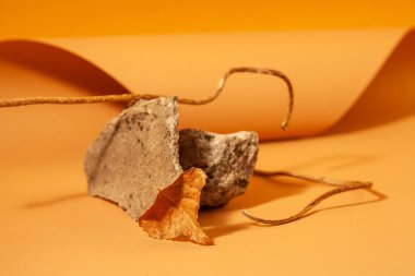 Tasarımcılar için soyut sarı kahverengi arkaplan, kavisli kağıt ve yumuşak ışık, kuru sonbahar yaprağı ve taş, soluk kavram.