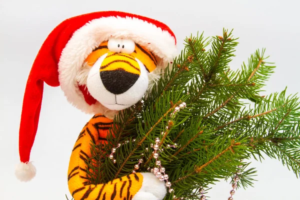 Year Tiger 2022 Soft Toy Tiger Wearing Santa Claus Hat — Stock fotografie