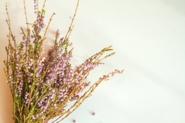  Arka planda bir demet lavanta çiçeği