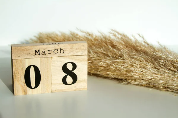 Wooden Cube Number Pampas Grass March Women Day Mother Day — ストック写真