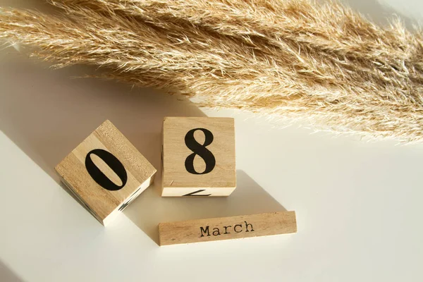 Wooden Cube Number Pampas Grass March Women Day Mother Day — Stok fotoğraf