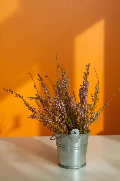 Lilac Heide Een Metalen Decoratieve Emmer Een Tafel Een Zonnige — Stockfoto