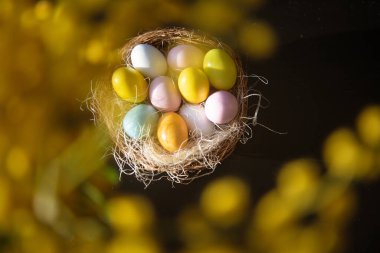 Paskalya kompozisyonu, parlak renkli yumurtalar ve siyah arka planda sarı mimoza bitkilerin gölgeleri, seçici odaklanma..