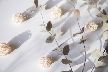 Okaliptüs ve pamuk çiçeklerinden taze dalların bileşimi, düz bir zemin, üst manzara, hassas pastel zemin.