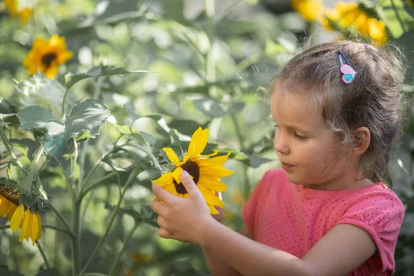 Pequena Menina Feliz Uma Camiseta Rosa Entre Girassóis Flores Amarelas — Fotografia de Stock