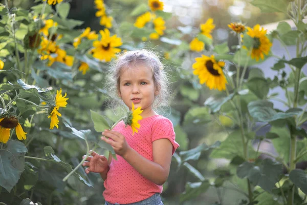 Little Happy Girl Pink Shirt Sunflowers Bright Yellow Flowers Field — Stock Photo, Image