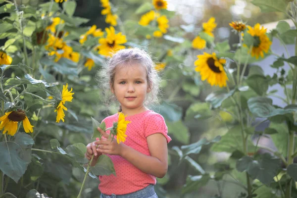 Pequena Menina Feliz Uma Camiseta Rosa Entre Girassóis Flores Amarelas — Fotografia de Stock