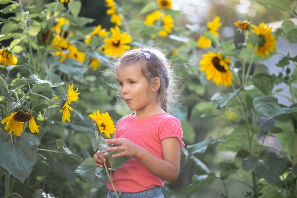 Little Happy Girl Pink Shirt Sunflowers Bright Yellow Flowers Field — Stock Photo, Image