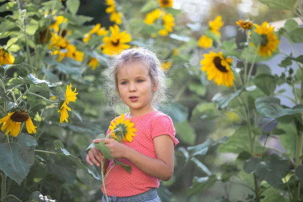 快乐的小女孩穿着粉红的T恤衫站在向日葵间 田野里鲜亮的黄色花朵 大自然的概念 — 图库照片