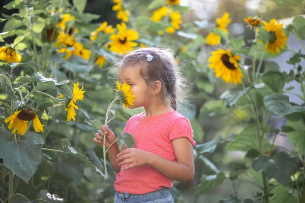 Pequena Menina Feliz Uma Camiseta Rosa Entre Girassóis Flores Amarelas — Fotografia de Stock