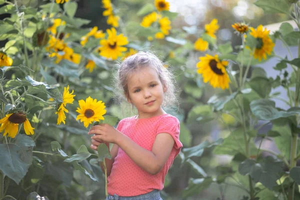 Little Happy Girl Pink Shirt Sunflowers Bright Yellow Flowers Field — Stock Photo, Image