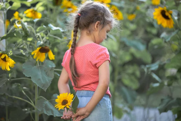 Pequena Menina Feliz Uma Camiseta Rosa Entre Girassóis Flores Amarelas — Fotografia de Stock