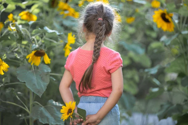 Pequena Menina Feliz Uma Camiseta Rosa Entre Girassóis Flores Amarelas — Fotografia de Stock