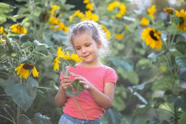 Pequena Menina Feliz Uma Camiseta Rosa Entre Girassóis Flores Amarelas — Fotografia de Stock