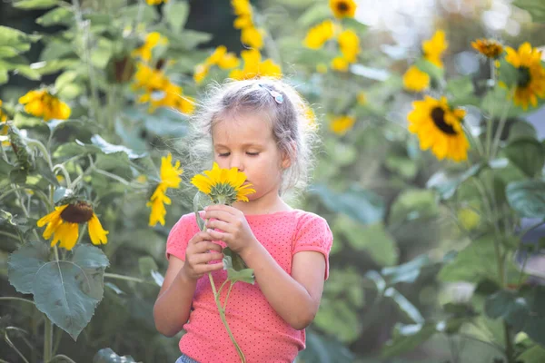 Pequena Menina Feliz Uma Camiseta Rosa Entre Girassóis Flores Amarelas — Fotografia de Stock