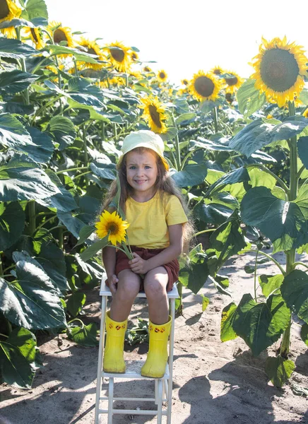 Pequena Menina Feliz Uma Camiseta Rosa Entre Girassóis Flores Amarelas — Fotografia de Stock