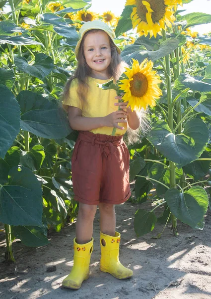 Pequena Menina Feliz Uma Camiseta Rosa Entre Girassóis Flores Amarelas — Fotografia de Stock