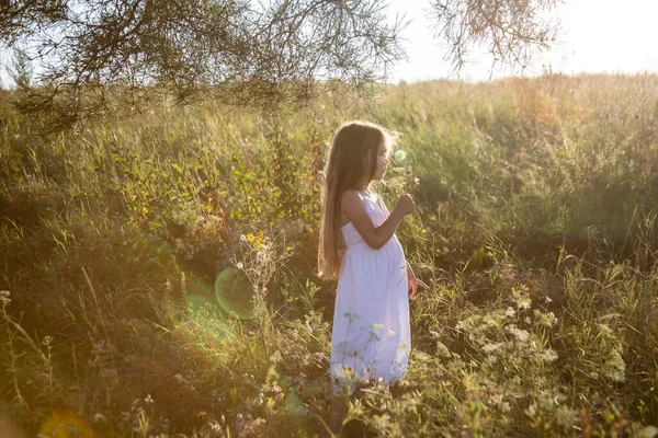 Tarlada Beyaz Elbiseli Küçük Kız — Stok fotoğraf