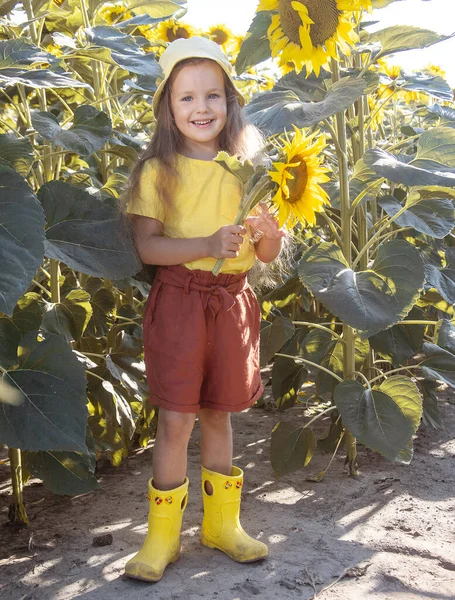 Pequena Menina Feliz Uma Camiseta Rosa Entre Girassóis Flores Amarelas — Fotografia de Stock