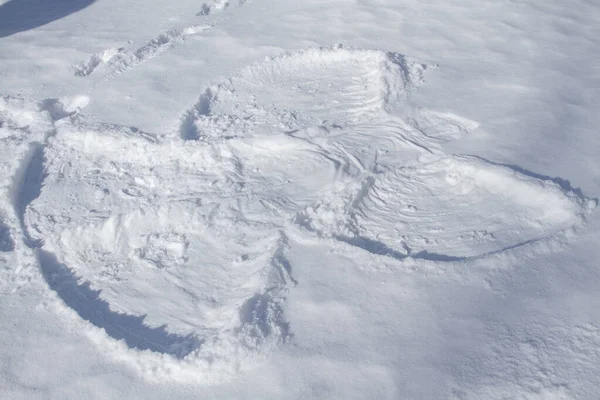 Schneeengel Zeichnung Schnee Mit Den Händen Und Füßen Eines Kindes — Stockfoto
