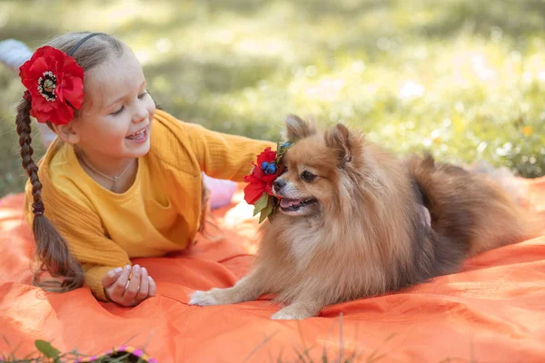 Uma Menina Cachorro Spitz Uma Criança Parque Grama Lado Uma — Fotografia de Stock