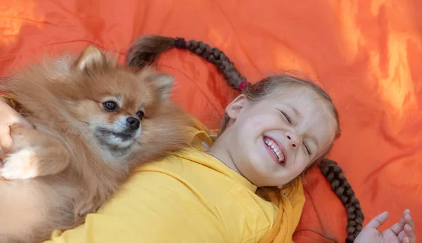 Uma Menina Cachorro Spitz Uma Criança Parque Grama Lado Uma — Fotografia de Stock