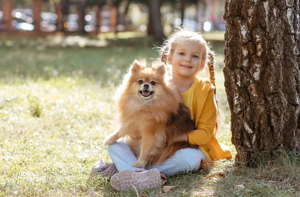 Uma Menina Cachorro Spitz Uma Criança Parque Grama Lado Uma — Fotografia de Stock