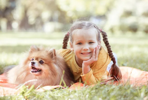 Ein Mädchen Und Ein Spitz Hund Ein Kind Park Auf — Stockfoto