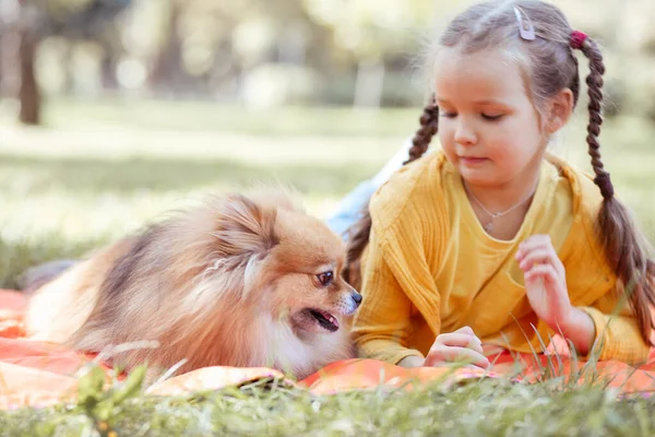 Uma Menina Cachorro Spitz Uma Criança Parque Grama Lado Uma — Fotografia de Stock